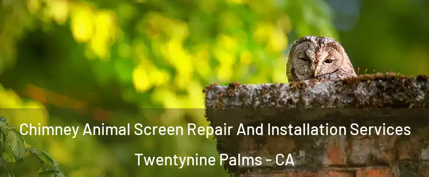  Chimney Animal Screen Repair And Installation Services Twentynine Palms - CA