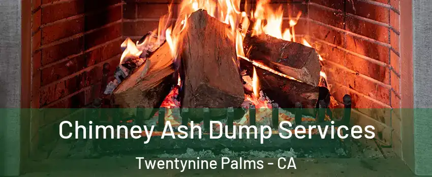  Chimney Ash Dump Services Twentynine Palms - CA