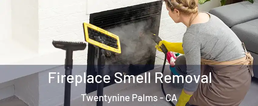  Fireplace Smell Removal Twentynine Palms - CA