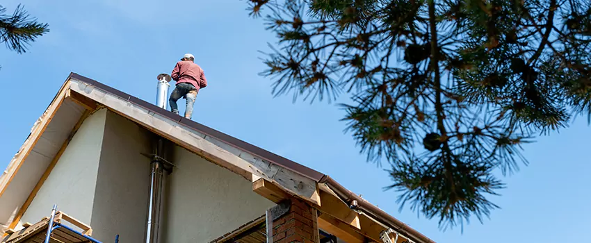 Birds Removal Contractors from Chimney in Twentynine Palms, CA
