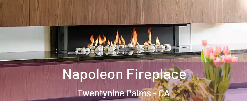  Napoleon Fireplace Twentynine Palms - CA